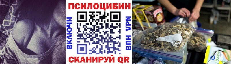 omg зеркало продажа наркотиков Озёрск Псилоцибиновые грибы мухоморы